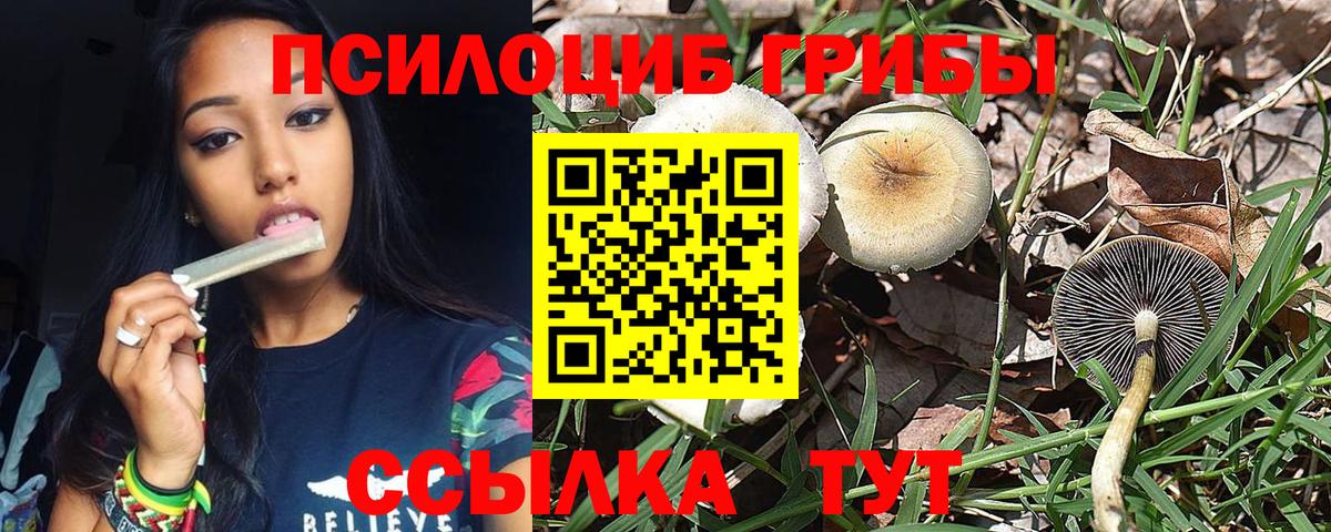 Псилоцибиновые грибы Psilocybine cubensis  наркотики  Ялта  Вход с VPN 